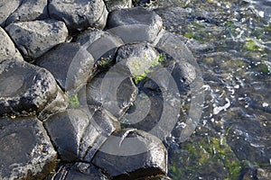 Giants Causeway; County Antrim; Northern Ireland