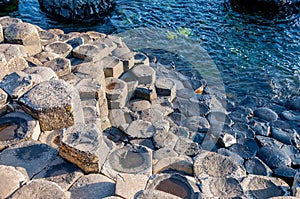 Giants Causeway geological formation in Northern Ireland