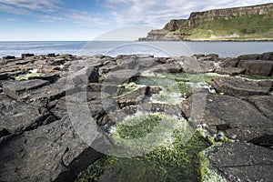 Giants Causeway national park landscape, North Ireland