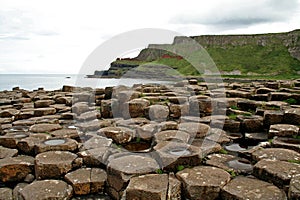 Giants Causeway View