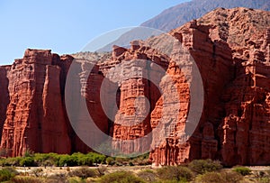 Giants of Quebrada de Cafayate