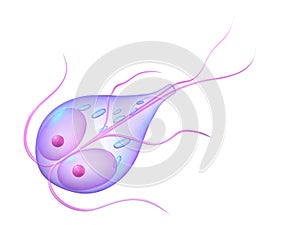 Giardia