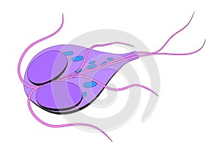 Giardia