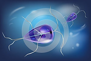 Giardia genus of anaerobic flagellated protozoan parasiiardiasis. Giardiasis. Giardia intestinalis protozoan