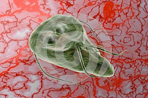 Giardia lamblia protozoan that causes giardiasis disease 3D rendering illustration