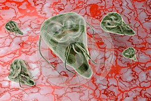 Giardia lamblia protozoan that causes giardiasis disease 3D rendering illustration photo