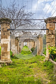 Giardino Giacomo D\'Atri is a garden at Episcopio Castle, Grottaglie Italy