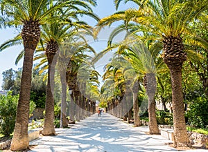 Giardino Ibleo in Ragusa, Sicily, Italy