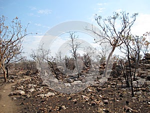 Gibb river road, kimberley, western australia