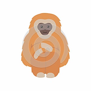 Gibbon primate mammal. Monkey isolated on white background.