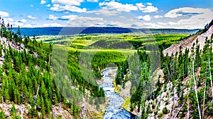 The Gibbon River downstream of Gibbon Falls in Yellowstone National Park photo