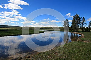 Gibbon River flowing through Gibbon Meadows in Yellowstone National Park in Wyoming USA