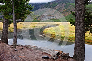 Gibbon River - Yellowstone, Wyoming