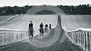 Giddy Up, Strength & Stamina Training on Warren Hill