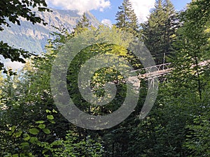 Giessbachbahn - The oldest funicular railway in Europe, Brienz - Canton of Bern, Switzerland / Standseilbahn Giessbach