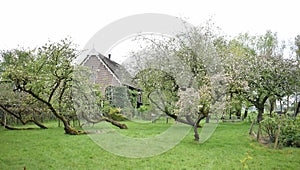 GIETHOORN, NETHERLANDS, April, 27, 2024, Beautiful village
