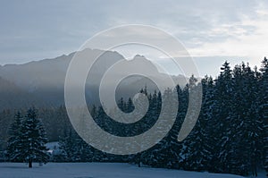 Giewont and the forest in winter. photo