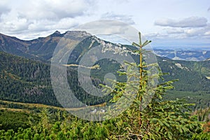 Giewont, landscape od Tatras Mountain in Poland