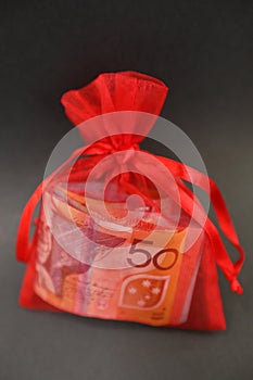 Gift bag of cash vertical