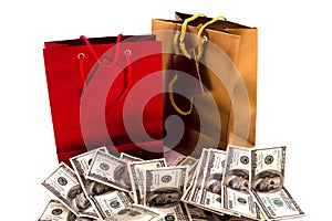 Gift bags with dollars