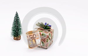 A gift box decorated with a fir branch, a 50 euro paper bill and a Christmas tree on a white background. The concept of gifts and