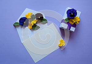 Gift box, envelope, paper blank and pansies Viola wittrockiana in yellow and blue tones on a pastel purple background.