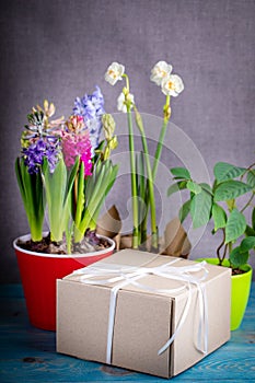 Gift box with flowers on gray background