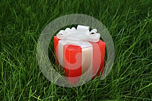 Geschenkbox auf der gras 