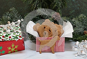 A gift box of peanut butter dog cookies in a Christmas setting