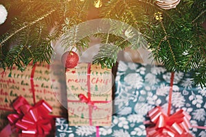 Gift box on pine tree