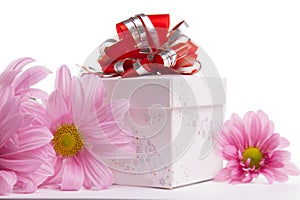 Gift-box with red bow with pink daisies