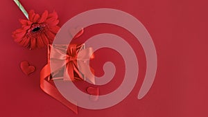 gift box with ribbon, gerbera flower, heart on red background. valentines day concept. greeting card.
