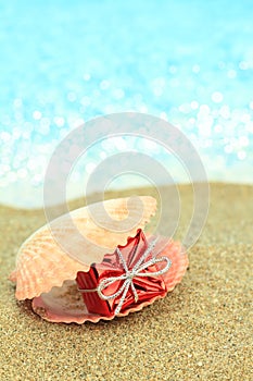 Gift box in a sea shell