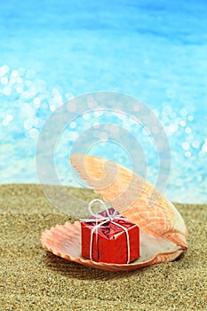 Gift box in a sea shell