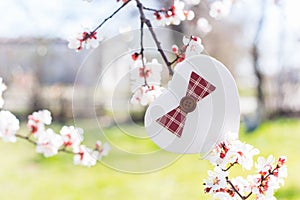 Gift box in shape of heart surrounded by flowering branches of spring trees