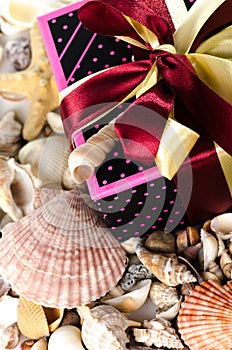 Gift box and shells