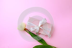 Gift box and tulip on color background. Happy womens day. Happy Mothers day.Hello Spring- Image