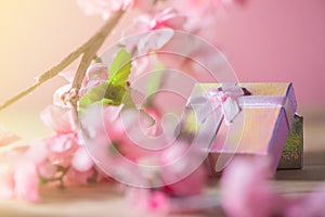 Gift box wrapped and plum blossom Christmas and Newyear presents with bows and ribbons, Christmas frame boxing day background.