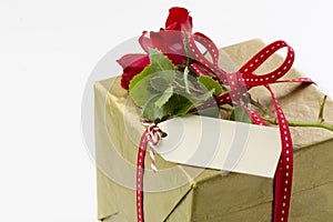 Gift box wrapped in red ribbon and natural roses on white backgr