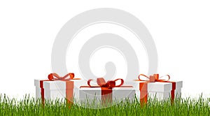 Gift boxes behind blades of grass 3d-illustration