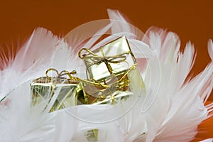 Gift boxes on white feather