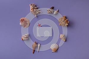 Gift card in center and seashells