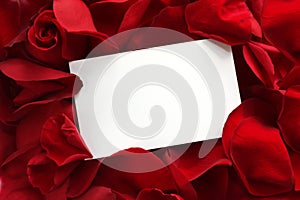 Gift Card on Red Rose Petals photo