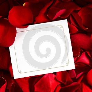 Gift Card on Red Rose Petals