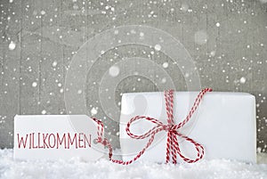 Gift, Cement Background With Snowflakes, Willkommen Means Welcome