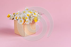 Gift craft box with flowers on pink background