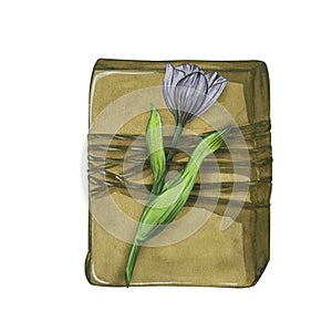 A gift in a craft package with a purple tulip. Watercolor illustration.