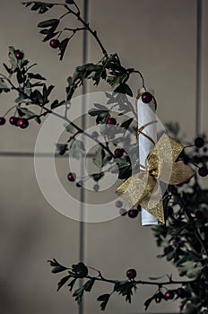 A gift with a golden bow hangs on a bouquet of torn hawthorn branches Crataegus. Shooting from the bottom up. Macro. Selective f