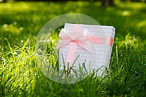 Gift on green grass with a pink bow