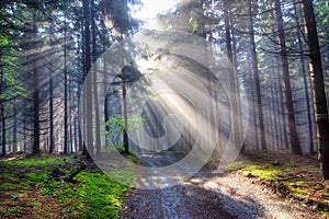 Gift of light - God beams photo